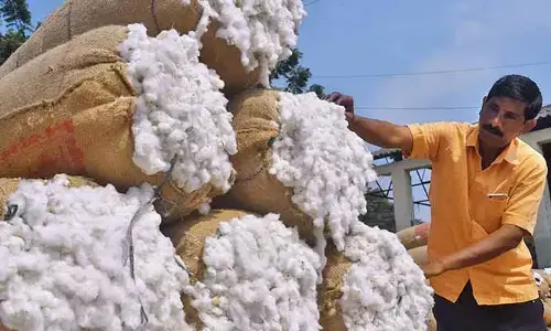 పత్తి రైతులకు అలర్ట్.. ఈ నెల 21 నుంచి షురూ
