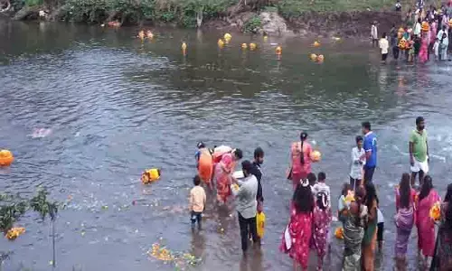 పూల తోట‌గా మారిన త‌ల‌మ‌డుగు సెల‌యేరు