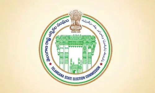 త్వరలో స్థానిక సంస్థల ఎన్నికలు.. రాష్ట్ర ఎన్నికల సంఘం కీలక నిర్ణయం