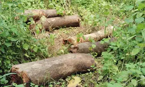 జగిత్యాల జిల్లాలో వీరప్పన్‌ను మించిన స్మగ్లింగ్ ముఠా!