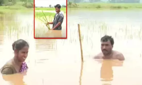 నడుములోతు నీళ్లలో పంట పొలాలు.. మూడు రోజులుగా దారుణ పరిస్థితులు