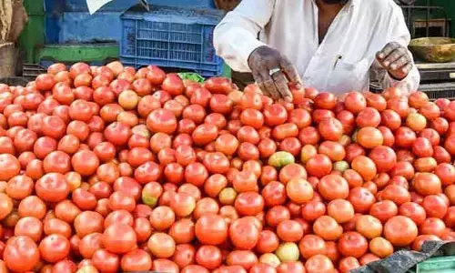ఒక్క రూపాయికే కిలో టమాటా.. ఎక్కడంటే..?