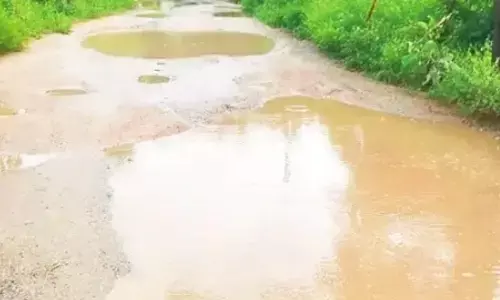 ప్రమాదం అంచున ప్రయాణం.. గుంతల రోడ్డును బాగు చేయండి