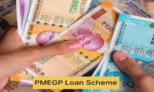 PMEGP: రూ.7 ల‌క్ష‌లు ఉచితంగా పొందే కేంద్ర ప్ర‌భుత్వ ప‌థ‌కం..వెంట‌నే ఇలా అప్లై చేసుకోండి
