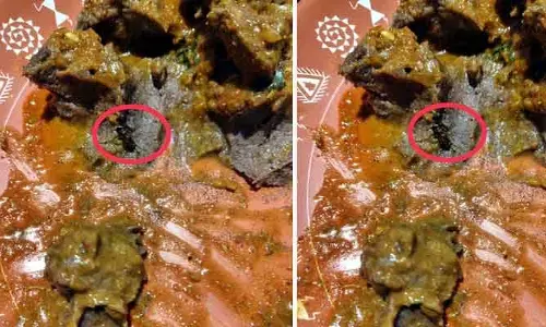 Kritunga Hotel: రాగిముద్దలో బొద్దింక