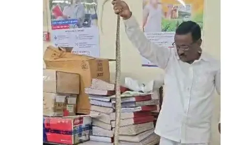 యూనియన్ బ్యాంక్ లో ‘పాము కలకలం’