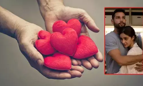 Love Languages : ప్రేమ భాషలు.. వ్యక్తీకరణ మార్గాలు.. ఏవి ఎలా ప్రభావితం చేస్తాయి?