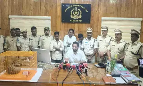 అడవి అలుగు విక్రయించేందుకు ప్రయత్నం.. ముగ్గురు అరెస్ట్..!
