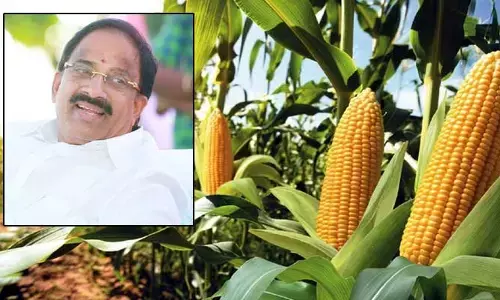 తెలంగాణ రైతులకు శుభవార్త.. మంత్రి తుమ్మల కీలక ప్రకటన