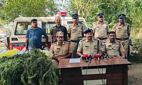 గంజాయి పండిస్తే ప్రభుత్వ పథకాలు కట్..!