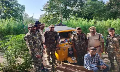 అక్రమంగా తరలిస్తున్న కలప పట్టివేత