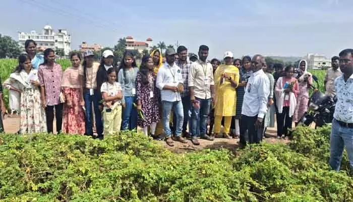 అంకాపూర్ రైతుల సాగు పద్ధతులు అద్భుతం... అనుసరణీయం... అంకాపూర్ రైతుల సాగు పద్ధతులు అద్భుతం... అనుసరణీయం...