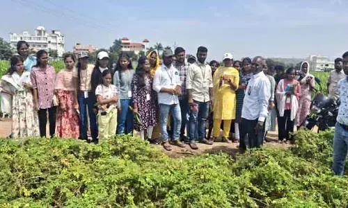 అంకాపూర్ రైతుల సాగు పద్ధతులు అద్భుతం... అనుసరణీయం...