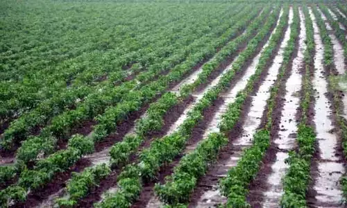 ప్రకృతి ప్రతీకారం.. రైతులను ముంచిన రుతువులు