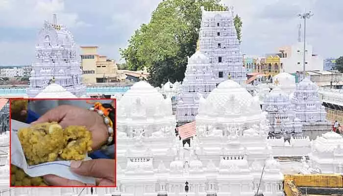 లడ్డూ ప్రసాదంపై ఆరోపణల్లో నిజం లేదు.. వేములవాడ ఆలయ ఈవో రమాదేవి లడ్డూ ప్రసాదంపై ఆరోపణల్లో నిజం లేదు.. వేములవాడ ఆలయ ఈవో రమాదేవి