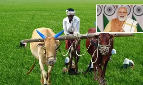 నేడు దేశవ్యాప్తంగా పీఎం ధన్ ధాన్య యోజన పథకం ప్రారంభం.. ఏపీ, టీజీలో ఎంపికైన జిల్లాలు ఇవే!