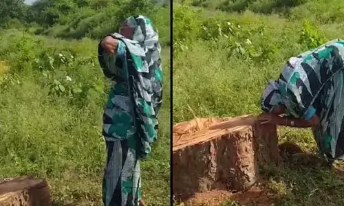 20 ఏళ్లు పెంచితే.. నేలమట్టం చేసిన రియల్ ఎస్టేట్ వ్యాపారులు..  వృద్ధురాలి కన్నీటి ఆవేదన