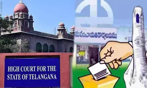 SEC:  స్థానిక ఎన్నికలకు హైకోర్టు గ్రీన్ సిగ్నల్.. ఎన్నికల సంఘం నిర్ణయమేంటి?