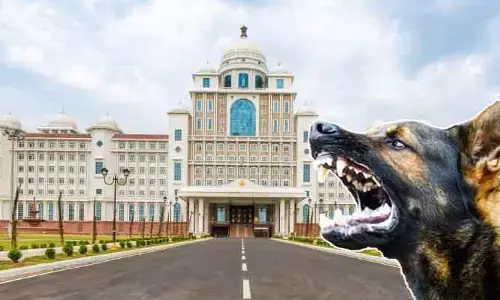 Trending: వామ్మో సచివాలయమా..! టెర్రర్ పుట్టిస్తున్న వీధి కుక్కలు