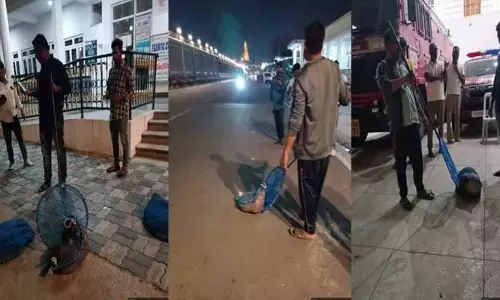 సచివాలయం వద్ద వీధి కుక్కల స్వైర విహారం.. కుక్కలను పట్టుకున్న మున్సిపాలిటీ సిబ్బంది