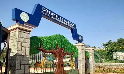 బొటానికల్ గార్డెన్‌కు పూర్వ వైభవం