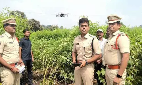 గంజాయి సాగు చేస్తే కఠిన చర్యలు : ఏఎస్పీ చిత్తరంజన్.