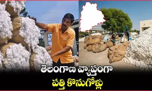 దీపావళి తర్వాత పత్తి కొనుగోళ్లు.. ఏర్పాట్లు చేస్తున్న ప్రభుత్వం