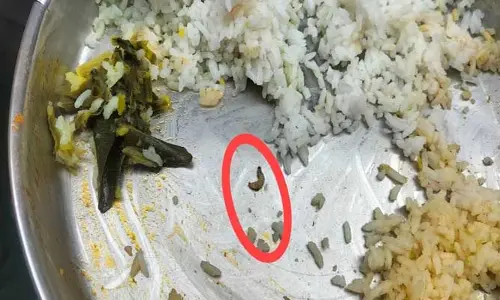 మ‌ధ్యాహ్న భోజ‌నంలో పురుగులు