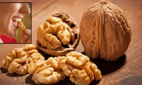 రోజుకు 3 వాల్‌నట్స్‌‌తో మెదడుకు మేలు.. గుండె జబ్బులకు చెక్!