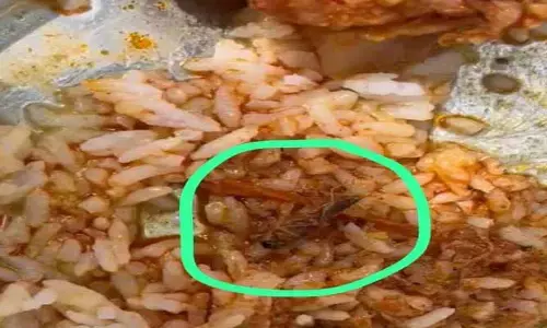 పురుగుల అన్నం తినలేం.. విద్యార్థినీల గళం
