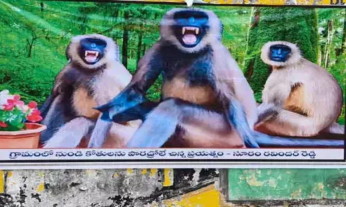 కోతుల బెడద నివారణకు వినూత్న ఆలోచన
