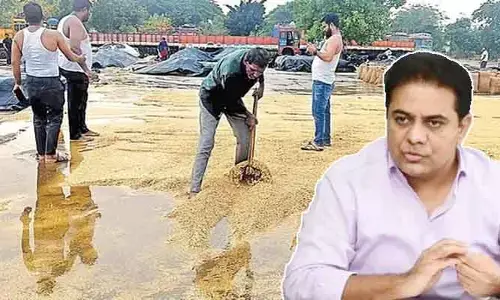 రాష్ట్రంలో ధాన్యం కొనుగోళ్లకు దిక్కులేదా.. మాజీ మంత్రి కేటీఆర్ ఫైర్