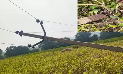 విరిగిన విద్యుత్ స్థంభం.. మూడు గ్రామాల‌కు నిలిచిన విద్యుత్ స‌ర‌ఫ‌రా..!