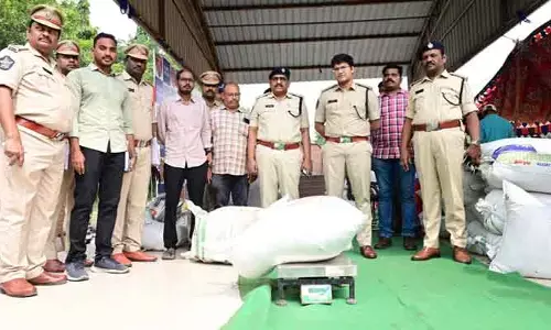 3,403 కిలోల గంజాయి ధ్వంసం