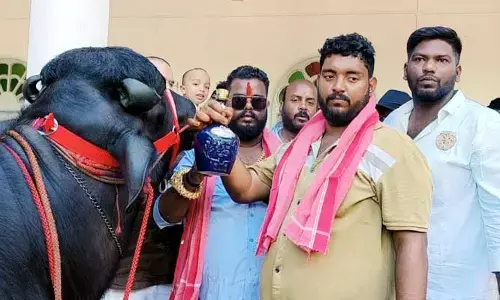 HYD Sadar: దున్నపోతుకి రూ.31 వేల విలువ చేసే మద్యం తాగించిన యువకుడు