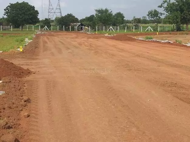 కాసుల కక్కుర్తి! కాసుల కక్కుర్తి!