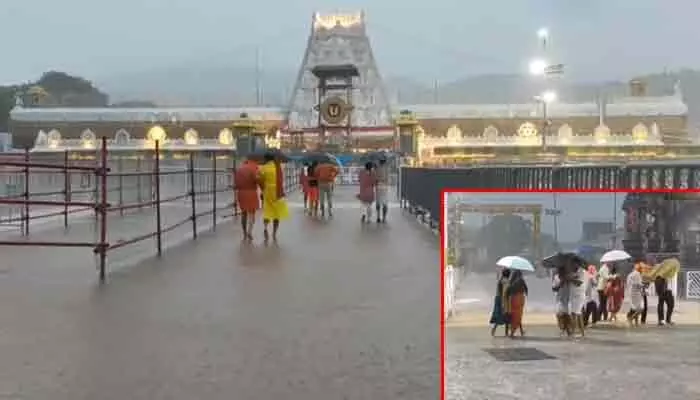 తిరుమలలో తగ్గని వర్షం.. భక్తుల తీవ్ర ఇబ్బందులు తిరుమలలో తగ్గని వర్షం.. భక్తుల తీవ్ర ఇబ్బందులు