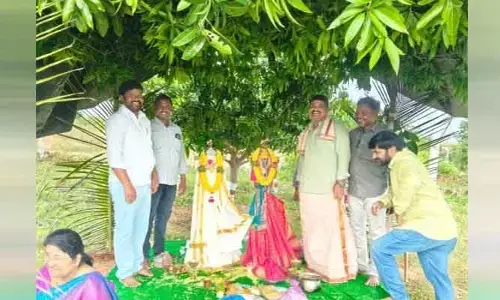 మామిడి చెట్ల‌కు క‌ళ్యాణం.. ఈ విచిత్ర సంఘ‌ట‌న ఎక్క‌డంటే..?