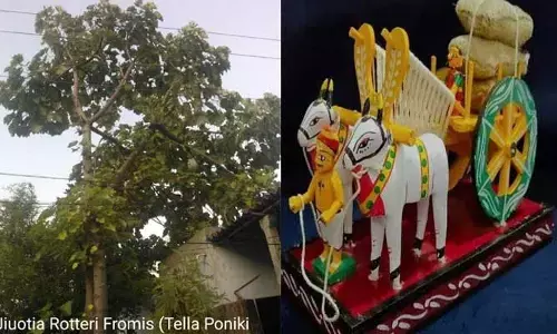 అంతరించి పోతున్న పొనికి చెట్టుకు కొత్త జీవం.. ములుగు అటవీ కళాశాల సరికొత్త ఆవిష్కరణ