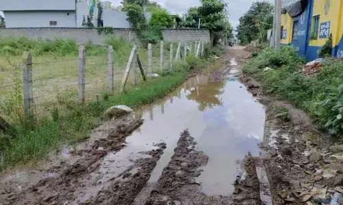 వరినారు మడి కాదు, ఇది బుర‌ద దారి!