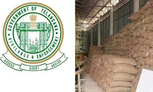Vigilance raids: విజిలెన్స్ ఆకస్మిక దాడులు.. అక్రమార్కులపై లక్షల్లో ఫైన్‌లు