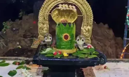 నాగులచవితి రోజున అద్భుతం.. పరవశించిన భక్తులు