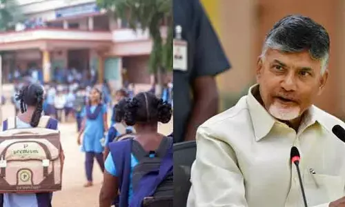 విద్యా  సంస్థలకు సెలవు ప్రకటించండి: అధికారులకు సీఎం చంద్రబాబు ఆదేశం