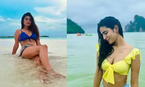 బాలీవుడ్‌పై కన్నేసిన ప్రియా ప్రకాష్ వారియర్.. అదృష్టం కలిసొచ్చేనా?