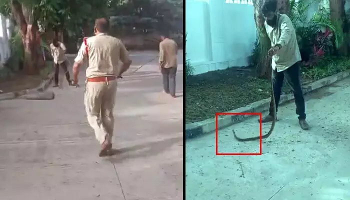 Snakes in Ministers Quarters: హైదరాబాద్ మినిస్టర్స్ క్వార్టర్స్లో పాముల కలకలం Snakes in Ministers Quarters: హైదరాబాద్ మినిస్టర్స్ క్వార్టర్స్లో పాముల కలకలం