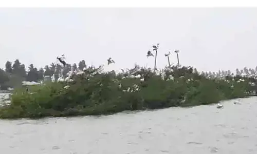 కొల్లేరులో పెరిగిన వరద ప్రవాహం