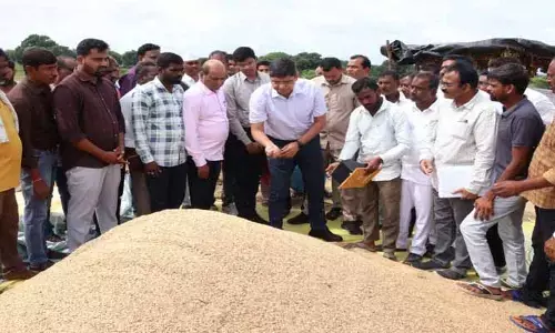 వ‌ర్షం ప్ర‌భావంతో రైతులు వ‌రికోత‌లపై జాగ్ర‌త్త‌లు  పాటించాలి