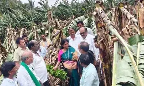 బాధిత రైతులకు తక్షణ సహాయం అందజేయాలి