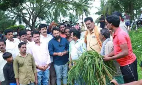 రైతులెవ్వరూ అధైర్యపడొద్దు : మంత్రి వాసంశెట్టి సుభాష్