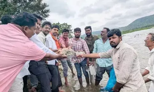 చేప పిల్లల పెంపకంతో మత్స్యకారులకు ఉపాధి : ఎమ్మెల్యే పాల్వాయి హరిష్ బాబు